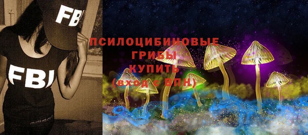 МДМА Горнозаводск