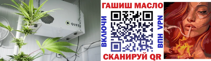 Купить  Ельня  ТГК Wax 