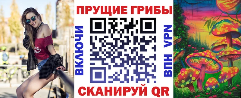 Галлюциногенные грибы GOLDEN TEACHER  Купить закладки  Ельня 